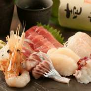 店主自ら市場に足を運び、厳選する魚介類。季節ごとの新鮮な味わいを満喫できる一皿です。写真は平目、帆立、蛸、ニシン、ボタン海老、中トロ。単品でも注文できます。