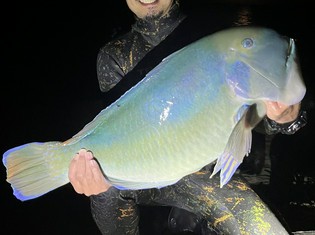 宮古島の恵みを一皿に。鮮度にもこだわった沖縄の魚介類