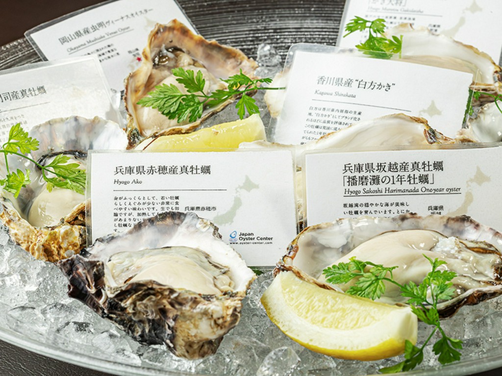 生ガキおまかせ　