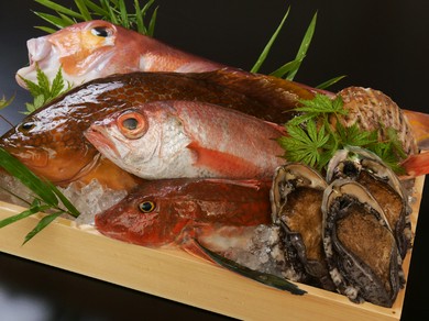鮮魚