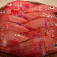 画像は、北海道網走産の釣りキンキ。網を使わず、延縄（はえなわ）漁で漁獲されます。そのため表面にあまり傷がなく、大きさもほぼ一定、鮮度も保たれているとか。納得できる魚を仕入れることにこだわります。