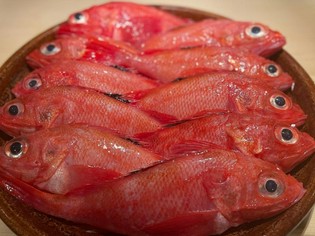 上質な食材が集まる豊洲から、納得の食材があれば各地からも