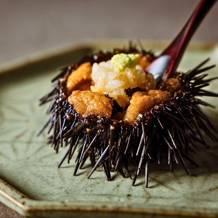 <Sushi Mukanyu × Nari Sea Urchin> Mukan Sea Urchin Course