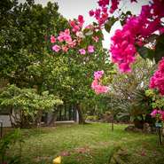 琉球の風情を感じさせる塀やデザイン、色鮮やかな植物が調和し、心を落ち着かせてくれます。訪れる客は、静寂と美しさに包まれ、花々が咲き誇る庭園を眺めながら料理を満喫。