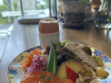 華やかな料理にシェアできるメニューも。女子会使いも歓迎のお店
