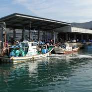 朝夕、新鮮な魚が水上げされる。