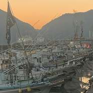 山と海にかこまれて位置する須崎市は、山の幸・海の幸も豊富に獲れる。