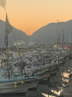 須崎港の風景です。
