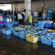毎日、新鮮な鰹や魚介類が水揚げされる。