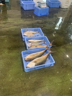須崎港市場の風景です。