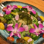 石垣牛の焼肉を囲んで、気の合う友人と女子会はいかがでしょうか。甘酸っぱいパイン酵素ドレッシングの前菜や『焼きスキ』、モリンガの冷麺やプリン。どれもさっぱり食べられるので、罪悪感なく食事が楽しめます。