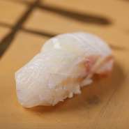 鮮魚の中でも白身魚は種類が多く、それぞれに向く仕込み方法があります。仕入れ状況で扱う鮮魚も変わり、毎日違った出合いを楽しめます。写真は、ある日の白身魚の握り『平鱸』です。