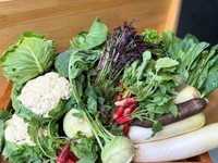 旬の野菜を楽しめる一品