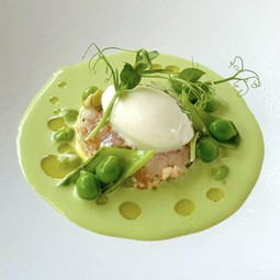 甘エビのタルタルとグリーンピースの冷製スープ