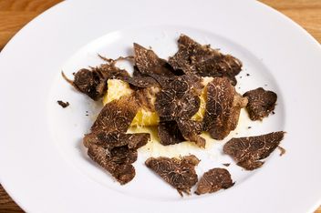 빌레몬