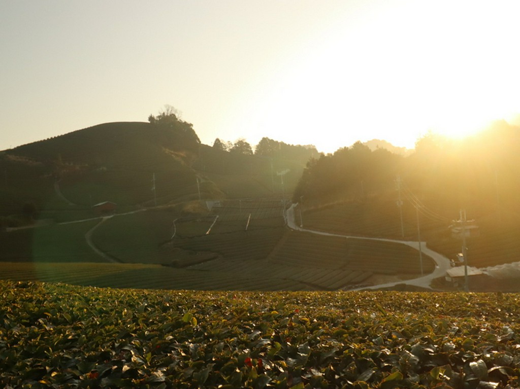 いつかじゃなくて、今行こう。教科書に載らない日本の美しい村。