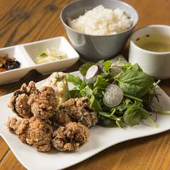 秋川牧園無投薬鶏の塩麹と醤油麹のからあげ