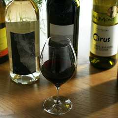 秀逸なラインアップで楽しませてくれる、多彩なワイン