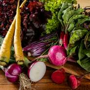 メインとなる肉を彩る野菜たちは、有機・減農薬と、栽培方法にこだわった野菜をセレクト。食材の背景もしっかりと理解し、自信を持ってオススメできるよう、なるべく“生産者に近い”食材を日々吟味しています。