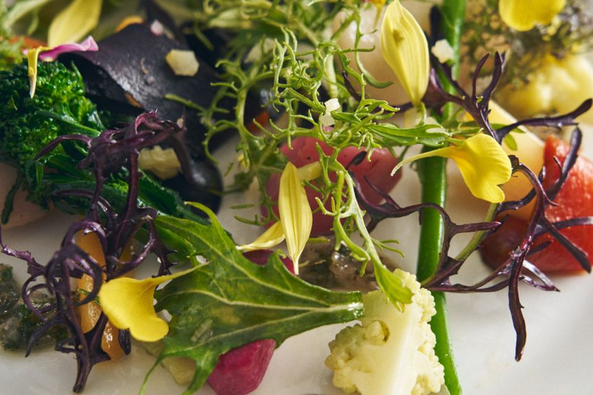 日本各地の生産者から仕入れる、確かな素材を駆使した料理