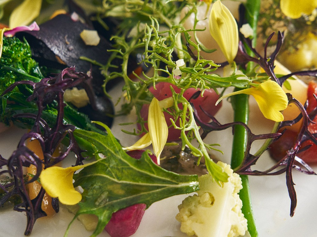 日本各地の生産者から仕入れる、確かな素材を駆使した料理