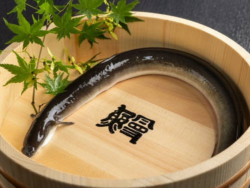 福岡市小笹地区で、九州発のうなぎ文化を広める隠れ家的名店