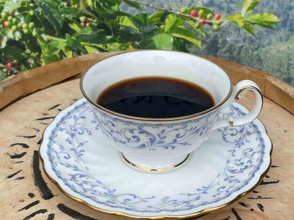 100% ブルーマウンテンNo.1　コーヒー