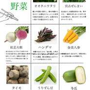 琉球料理とアグー豚そして10種類以上の島野菜を堪能できる