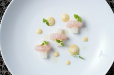 福井の食材から旬の食材も豊富に使用したデギュスタッションコースをご用意いたします。

