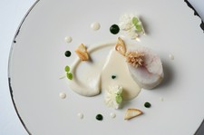 福井が誇る最高峰の食材【越前蟹】を、料理長堀内の感性でフランス料理でお楽しみいただけるコース