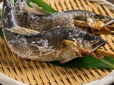 〈名物〉徳島県産　鮎の炉端焼き