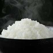 お米は京米老舗「八代目儀兵衛」より、特選米を用意。うなぎの蒲焼との相性は抜群です。