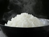 お米は京米老舗「八代目儀兵衛」より、特選米を用意。うなぎの蒲焼との相性は抜群です。