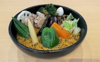 煮込んだ鶏もも肉とたっぷり11種類の野菜が入ったカリー。