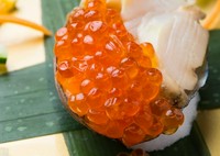 海の宝石をふんだんに使用した至極の一品。コリコリで歯ごたえ抜群の鮑と、プチプチ弾ける食感が楽しめるイクラの奇跡のコラボです!魚介好きにはたまらない!当店に来た際は是非ご堪能ください。