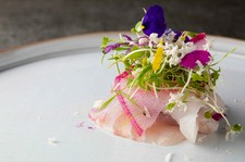 福井の恵みを感じて頂ける少量多品のディナーコースです