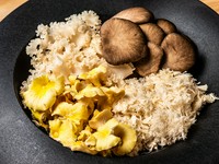 マイタケ、椎茸、霜降りひらたけ、タモギ茸、エノキ茸など。仕入れに応じて、山伏茸などの貴重品種も登場します。