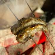 その日のオススメの魚を厳選した備長炭で焼き上げるこだわりの逸品。炭火焼ならではの芳ばしい香りとジューシーな味わいがたまりません。すべてのコースにてお楽しみいただけます。