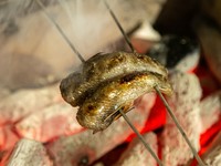 本日の魚の炭火焼