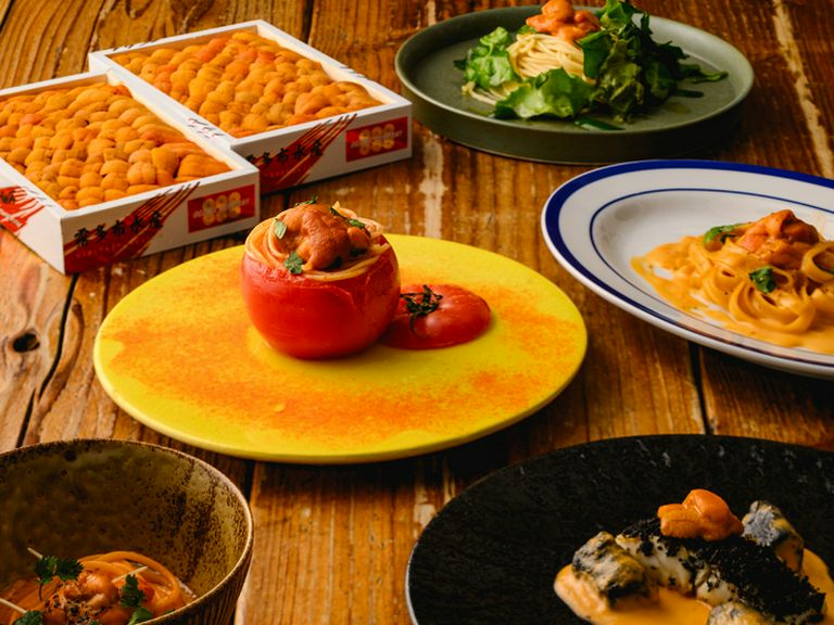 期間限定の特別コース『革命の4色雲丹パスタ』がオススメ！