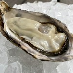 日本全国各地から新鮮な牡蠣を仕入れております。