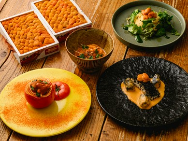 至福のウニ尽くしが叶う！特別コース『革命の4色雲丹パスタ』