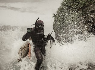 素潜りで獲り、鮮度抜群の状態で届く宮古島の旬魚