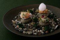 雨晴海岸の情景