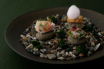 雨晴海岸の情景