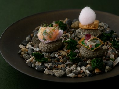 雨晴海岸の情景