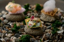 北陸エリアの地域資源を活かし、旬を切り取った全8品のフルコース