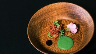 希少食材でもある熊肉のスペシャリテ『熊肉のユッケスタイル』