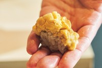 こだわるのは天草の中でも、山が近く、ミネラル豊富な淡水が流れ込む、嶺北町のウニ。軽くペーパーで水分を抜き、握りの上にたっぷり乗せ、そのテクスチャを楽しむため、軍艦にはせず、握りか小丼ぶりで提供。