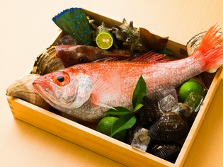 「旬菜鮮魚」の名前どおり、東北の旬野菜と鮮魚、上質肉が集う